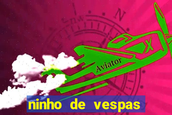 ninho de vespas significado espiritual